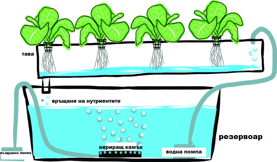  хидропонна система