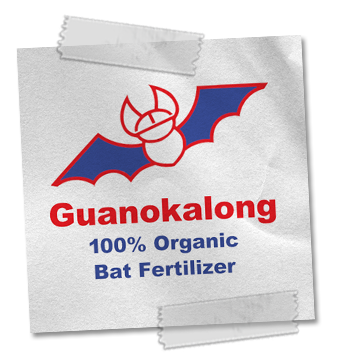 бял фон лого Guanokalong