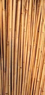 Bamboo sticks - 120cm