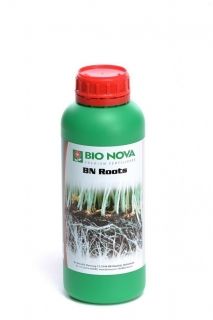 BN Roots 1L