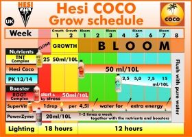 HESI COCO
