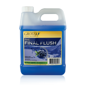 Final Flush - Ананас и Кокос 1L