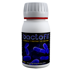 Bactofil 0.50g - добавка за растеж