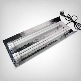 Elektrox Starter Tray  CFL 2 x55W