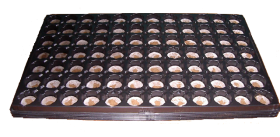 Jiffy - Propagation Tray