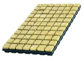 Cultilene Tray