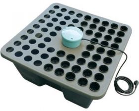  Hydroponic system RainForest 72