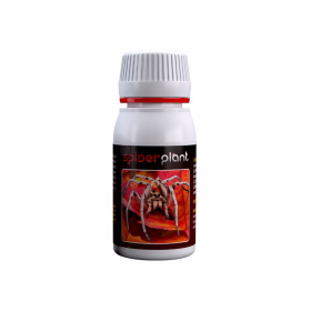 Spider Plant 60ml 