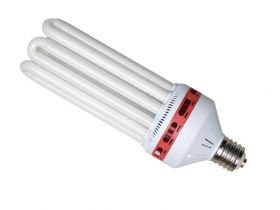 Compact CFL 250W Red - Flowering lamp