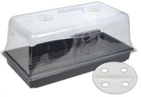 NGW - Propagator