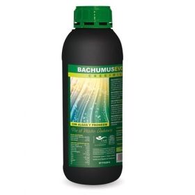 Bachumus evolution crecimiento 1L