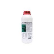Eco Bachumus 1L - стимулатор за растеж