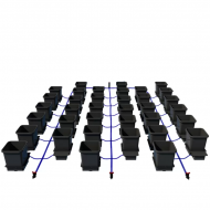36pot System - system NO flexitank