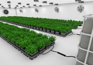 36pot System - system NO flexitank