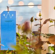 Horiver - sticky strips against flying insects