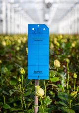 Horiver - sticky strips against flying insects