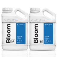 Athena Bloom A+B, 3.78L