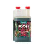 CANNA Boost Accelerator 