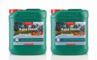 Aqua Flores A&B