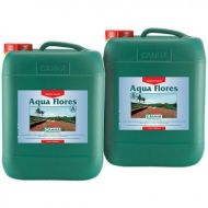 Aqua Flores A&B