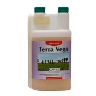 Terra Vega 