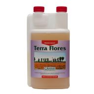  Terra Flores 