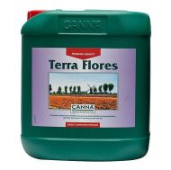  Terra Flores 