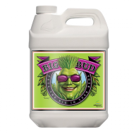 Big Bud – Liquid Bloom Stimulator for Massive Harvests – Advanced Nutrients