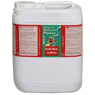 Growth/Bloom Excellarator 