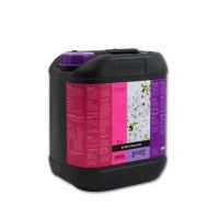 B'cuzz Bloom Stimulator - Flowering Stimulator Atami