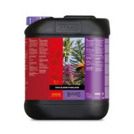B'cuzz Coco Bloom Stimulator 