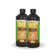 ATA Awa Max A+B 