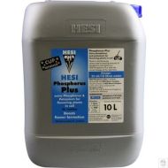 Phosphor Plus
