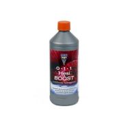 Hesi Boost