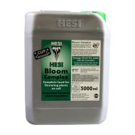 Bloom Complex