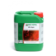 BN-zym