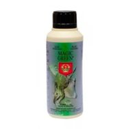 House & Garden Magic Green - foliar spray