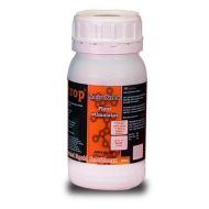 AminoXtrem  
