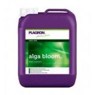 Alga Bloom 