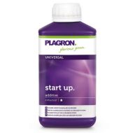 Start up  
