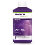 Start up  
