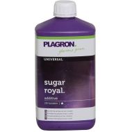 Sugar Royal 