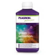 Green Sensation 