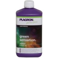 Green Sensation 