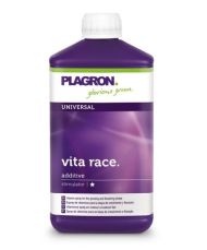 Vita Race 