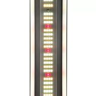 LUMii XLEDv6 680 W LED lighting with driver