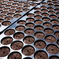 Jiffy Tray 150 Гнезда - 33мм - Блокчета за Покълване