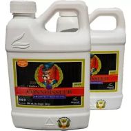 pH Perfect Connoisseur Grow A+B 