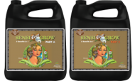 pH Perfect Sensi Coco Grow A+B – Base Nutrient for Coco Coir Advanced Nutrients