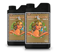 pH Perfect Sensi Coco Bloom A+B – Base Nutrient for Bloom in Coco Advanced Nutrients